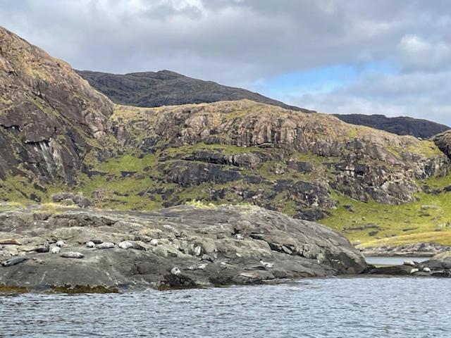 Waterfall View Milovaig المظهر الخارجي الصورة